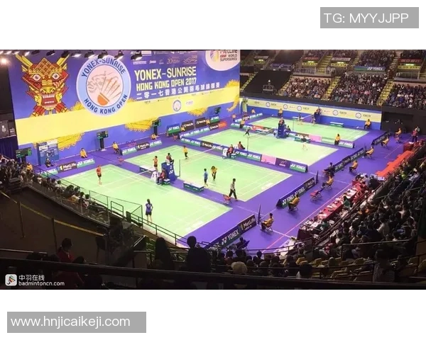 羽毛球比赛现场氛围及观众互动研究